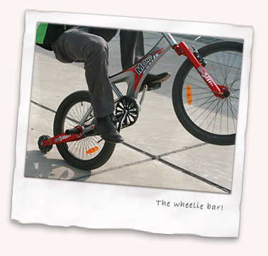 The wheelie bar, to help you pull a wheelie on your bike
