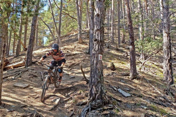 Matt in the pine woods near the Briancon reservoir