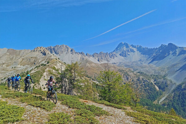 The moles in a line on the Col du Tronchet