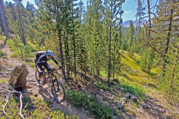 John riding the singletrack near the Col du Tronchet