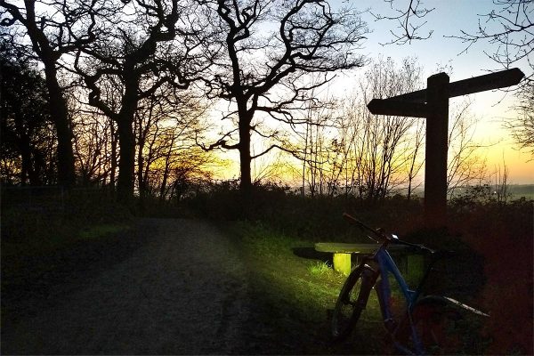 Sunset on Ashtead Common
