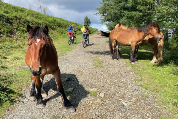 Pony club with BasqueMTB