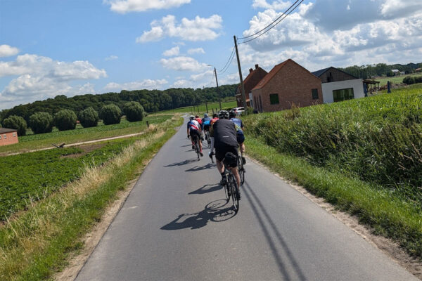 Moles on Belgium roads