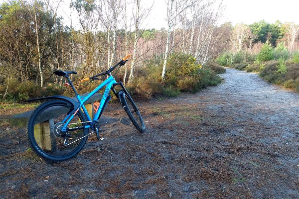 Bird Zero AM at Chatley Heath