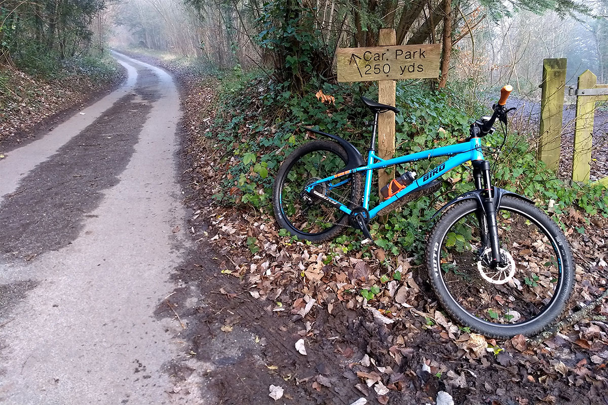 bird mountain bikes