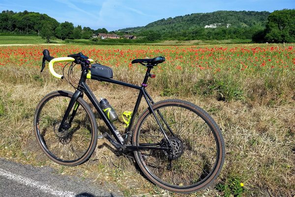 Cannondale Topstone and a field of poppies at Brockham