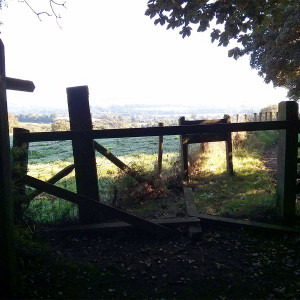 A hazy view toward Dorking from Wolverns Lane