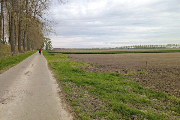A lone rider on a wide flat Dutch landscape with a line of tree on the horizon