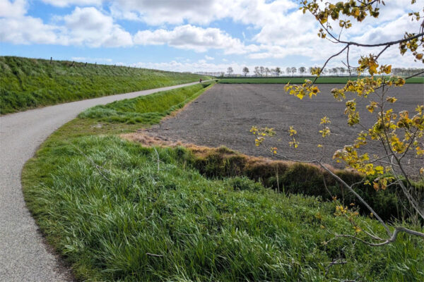A cycle path curves into the distance between the sea dyke and agricultural land