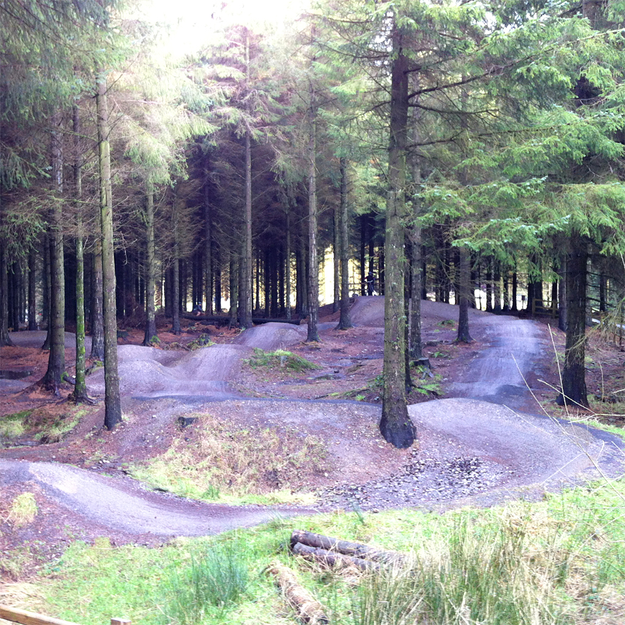 New Year at Llandegla Reviews Trails Trail Centres