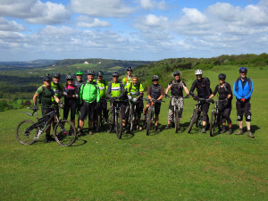 Moles on Colley Hill