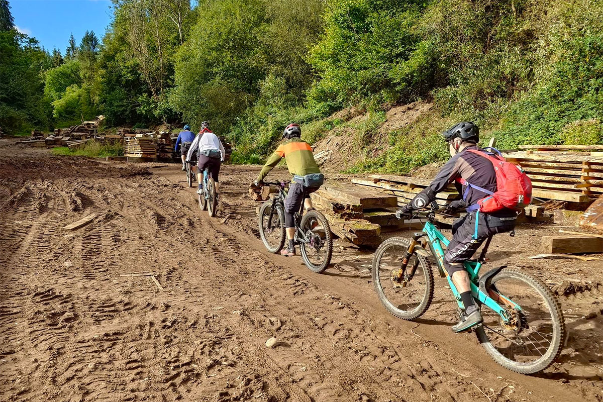Moles riding line astern through the sawmill yard