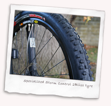 specialized storm control 29er