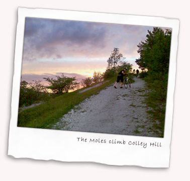 The Moles climb Colley Hill near Reigate