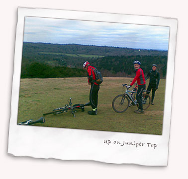 Up on Juniper Top, near Box Hill in Surrey