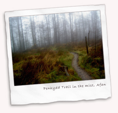 Penhydd Trail in the mist, Afan