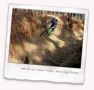 DaveP on Tank Traps at Swinley Forest