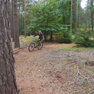 Salsa Horsethief at Swinley