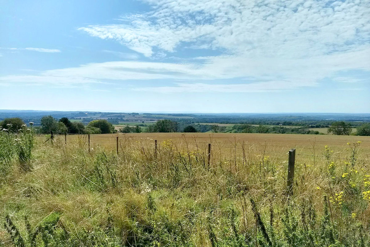 Beacon Hill view on the South Downs Way