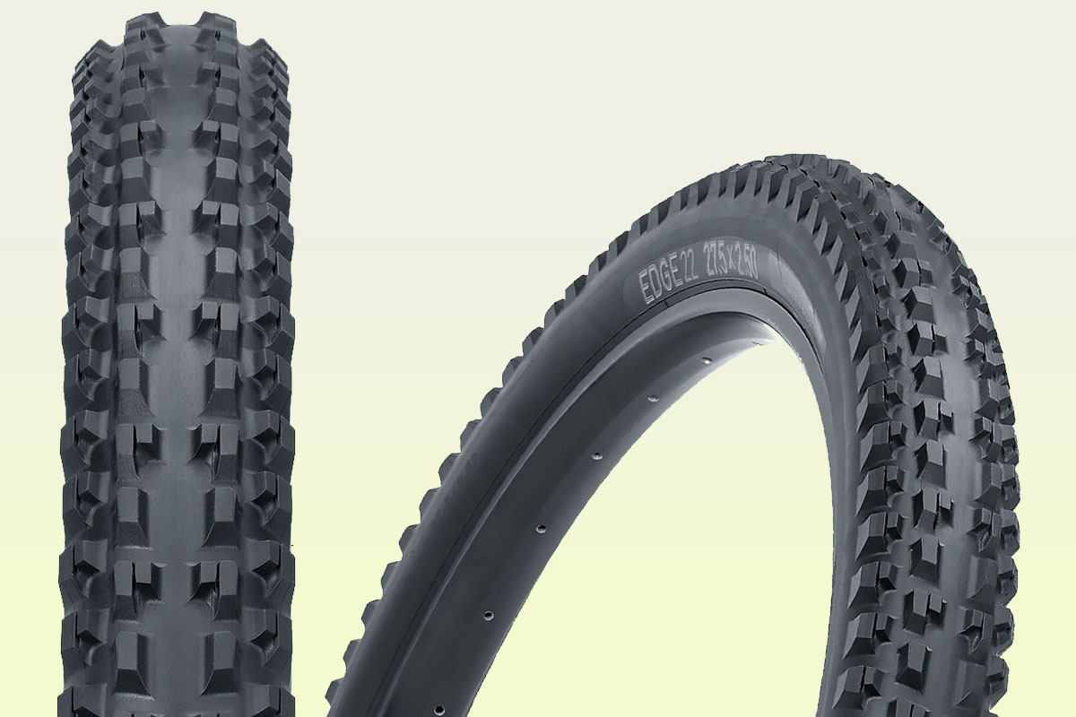 tioga dh tyres