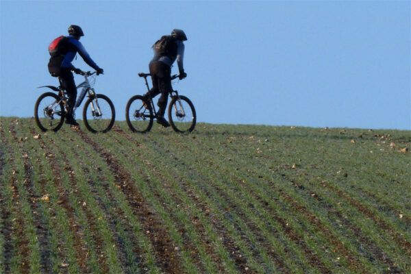 Tony and Lee climb a frozen field