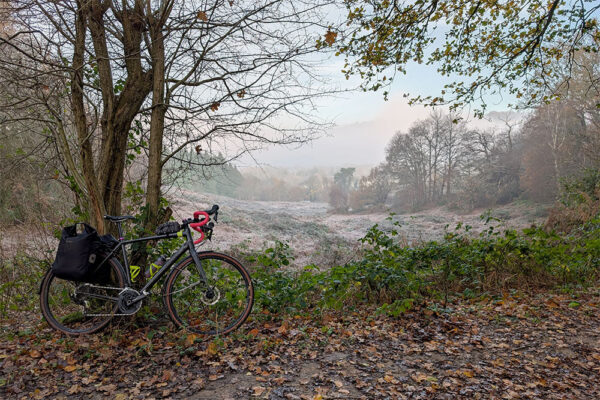 A Cannondale Topstone leans against a tree with a view of Box Hill in the mist behind on a frosty morning