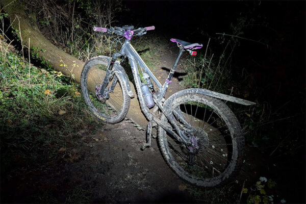 A Bird Aether 9 MTB rest against a fallen tree in the dark of night