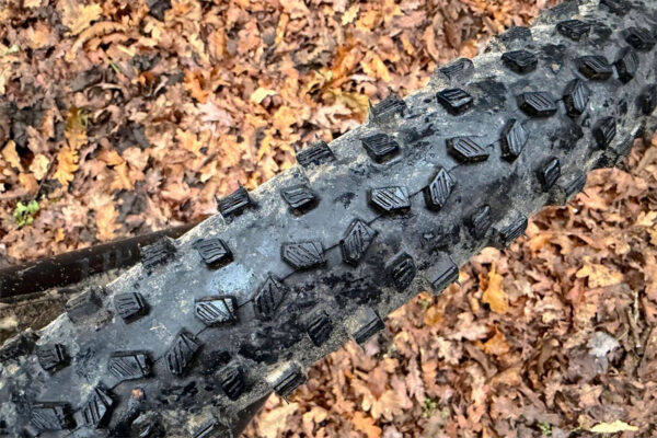 The Vittoria Torrente tyre after 450 miles