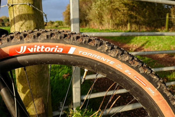 A side view of the Vittoria Torrente mud tyre