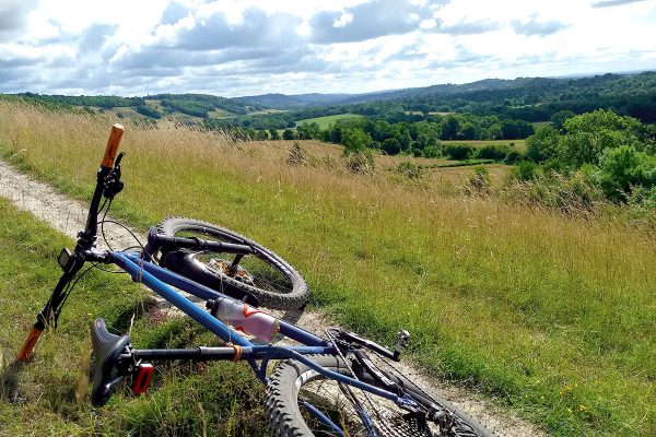 The view looking east from White Down toward Dorking and Reigate