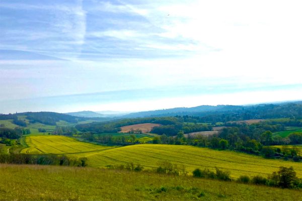 The view East from White Down